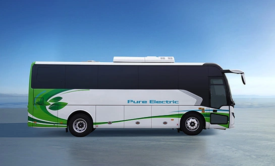 electric sightseeing bus